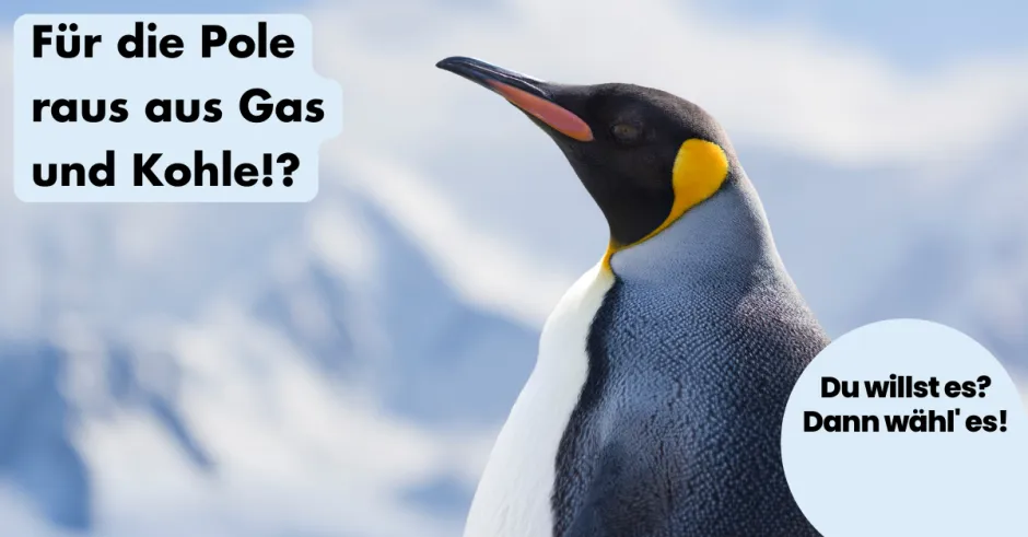 ohnelogo_linkedin_gas_kohleausstieg_pinguin